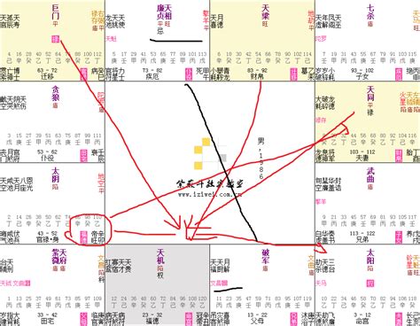 日月反背格桃花|紫微斗数如何看桃花格局 – 紫微麥 